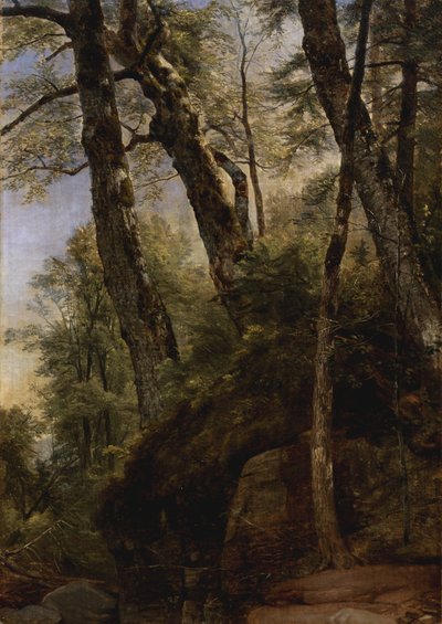 ブラックバーチ、キャッツキルマウンテン、1860 作： Asher Brown Durand